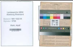 Entnazifizierung Adolf Wahl , geb. 06.01.1875 (Anwalt)
