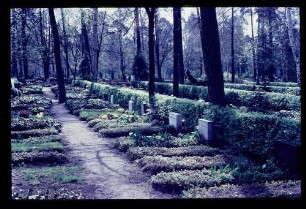 Friedhof Heerstr. 24.4.66.