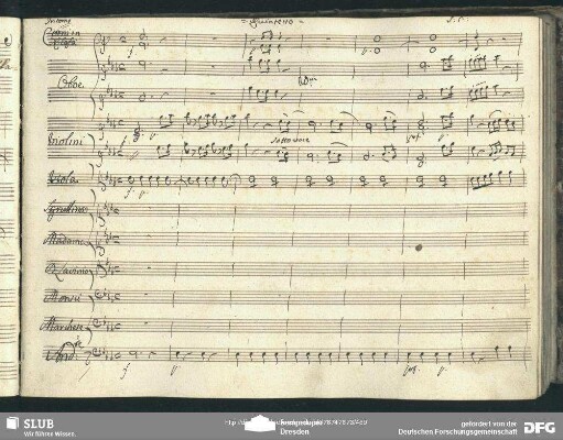 Quintetto: "Vi dirò che di Madama"