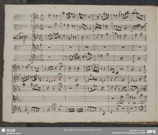 Salve regina