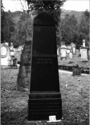 Grabstein 28 (Index: 100092745) Material: Granit Zustand: gut Maße HxBxT: 200x59x45 cm Beschreibung: Obelisk, getreppter Sockel, Schriftfelder auf Sockel und Obelisk: Grabstein 28