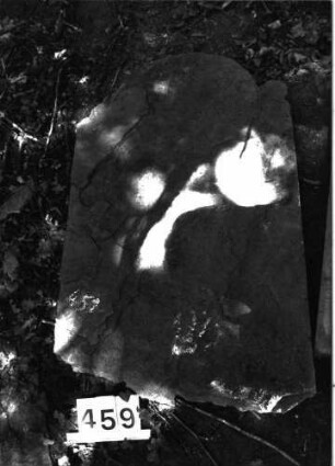 Grabstein 459 (Index: 99897133) Zustand: liegend, stark verwittert Maße HxBxT: 110x66x10 cm Beschreibung: Fragment: Grabstein 459