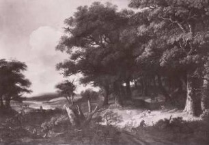 Landschaft