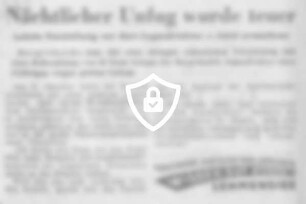 Nächtlicher Unfug wurde teuer