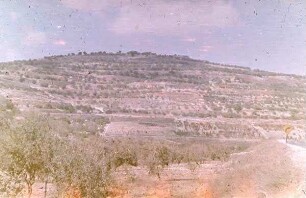 Samaria [sebastie] etwa von S.