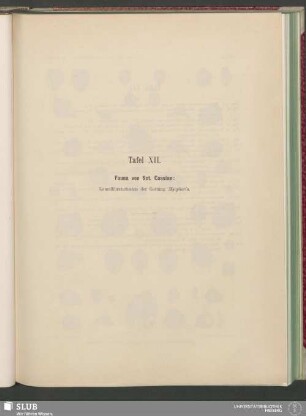 Tafel XII.