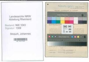 Entnazifizierung Johannes Strauch , geb. 27.12.1903 (Steuerberater)