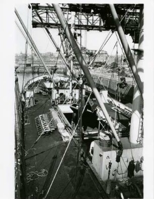 Hamburg. Hafen. Ein Frachtschiff wird entladen