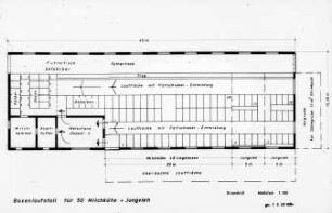 Boxenlaufstall für 50 Milchkühe + Jungvieh
