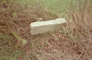 bei Steinfelder Redder: Grenzstein [Nr. 148] zwischen Poggensee [damals zu Altfresenburg] und Steinfeld: liegend: Inschrift rundes A