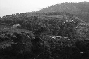 Lopud: Olivenhaine und Weinanlagen, vom Castell