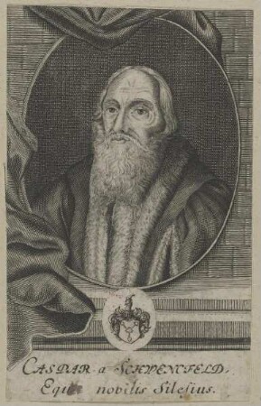 Bildnis des Caspar von Schwencfeld