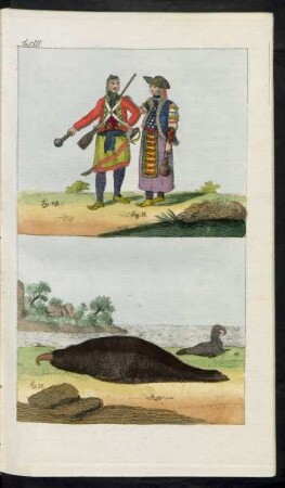 Taf. III. Fig. 13. - 16.