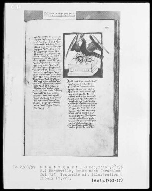 Jacob von Teramo, Belial und Johannes von Mandeville, Reise nach Jerusalem — Jean de Mandeville, Die Reise nach Jerusalem — Phoenix, Folio 121recto