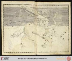 Tafel 30: Sagittarius (Schütze)