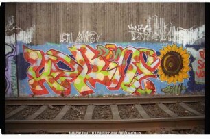 HWSA RiM