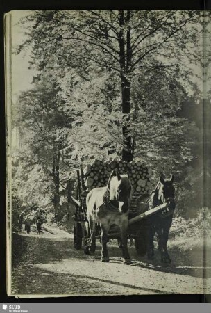 Talwärts mit schwerer Last