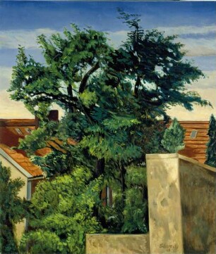 Der eingeschlossene Baum