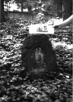 Grabstein 15 (Index: 100105626) Material: Muschelkalk Zustand: Schriftplatte fehlt Maße HxBxT: 72x50x25 cm Beschreibung: Stele, rustica, Korbbogenabschluß, Schriftfeld eingetieft mit Spitzbogenabschluß: Grabstein 15