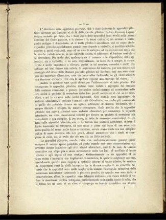 4. Direzione delle appendice piloriche