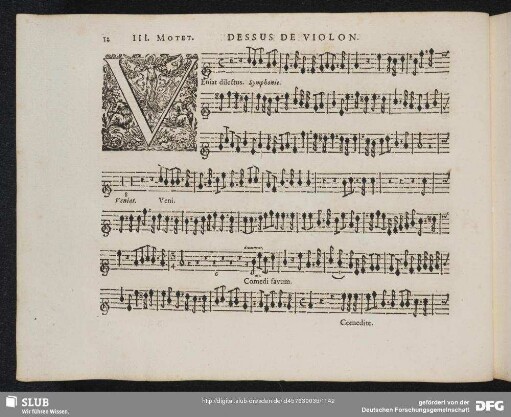 III. Veniat dilectu meus in hortum suum