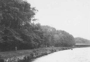 Bewuchs am Sacrow-Paretzer-Kanal (SKP) 1942/Brandenburg
