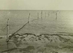 Rügen. Thiessow. Aalreusen in der Ostsee
