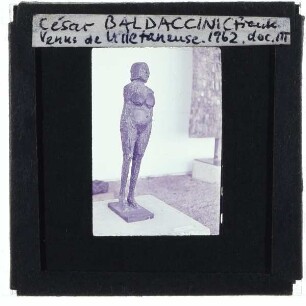 César, Vénus de Villetaneuse