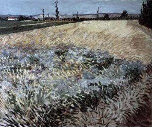 Weizenfeld