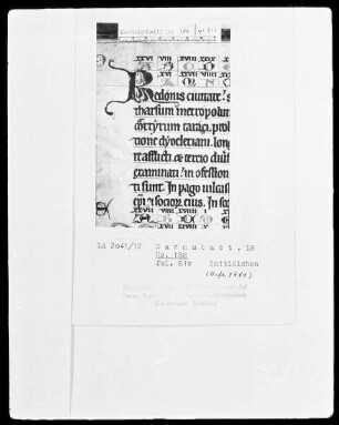 Martyrologium und Regula — Martyrologium — Initiale R (edonis), Folio 81verso