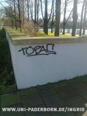 tOPAS