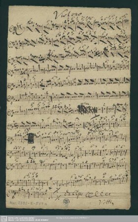 Violono