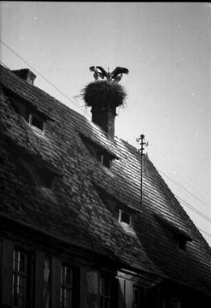 Bahlingen: Storchennest