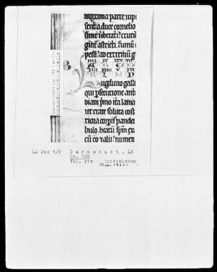 Martyrologium und Regula — Martyrologium — Initiale L (ugduno), Folio 31verso
