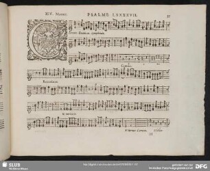 XIV. Cantate Domino canticum novum