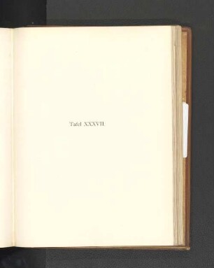 Tafel XXXVII.