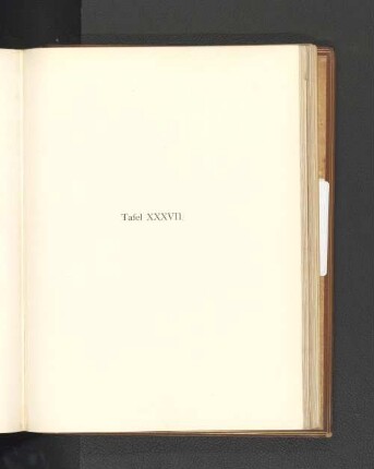 Tafel XXXVII.