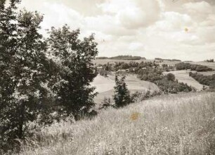 Vogtland. Trieb nördlich Plauen. Blick von Liebau über das Elstertal nach Nordwest
