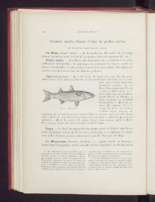 Animaux marins faisant l'objet de pêches suivies