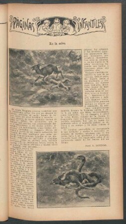 En la selva : Páginas infantiles