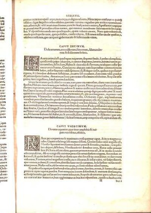 Capvt Vndecimvm, De ranæ aquaticæ, quæ inter amphibia & ouipara recensetur, ossibus.