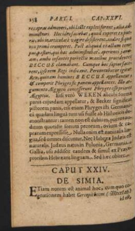 Caput XXIV. De Simia.