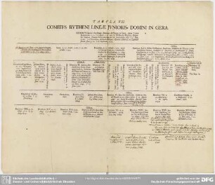 Tabula VIII. Comites Rutheni Lineae Junioris, Domini In Gera