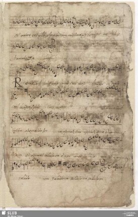 [5.] Rorate caeli / Louys, J.