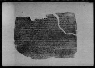 al- Qurʾān [DAM 00-00.15]