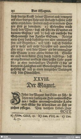 XXVIII. Der Magnet