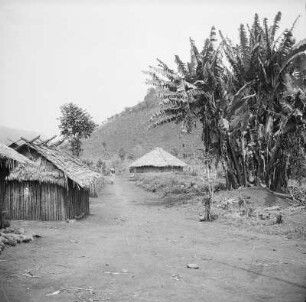 Dorf der Bubi : Blick entlang einer Straße durch ein Dorf der Bubi zu Taro und Yamsfeldern.