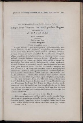 Einige neue Wanzen der aethiopischen Region