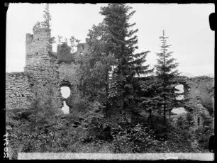 Burg Hohenfreyberg, Eisenberg