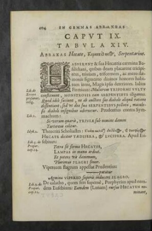 Caput IX. Tabula XIV.